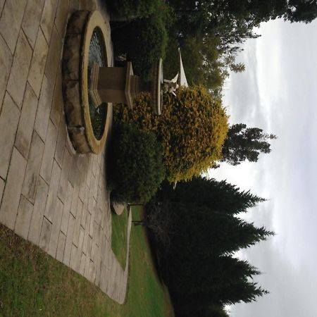 Villa Loxley On Bellbird Hill à Kurrajong Extérieur photo