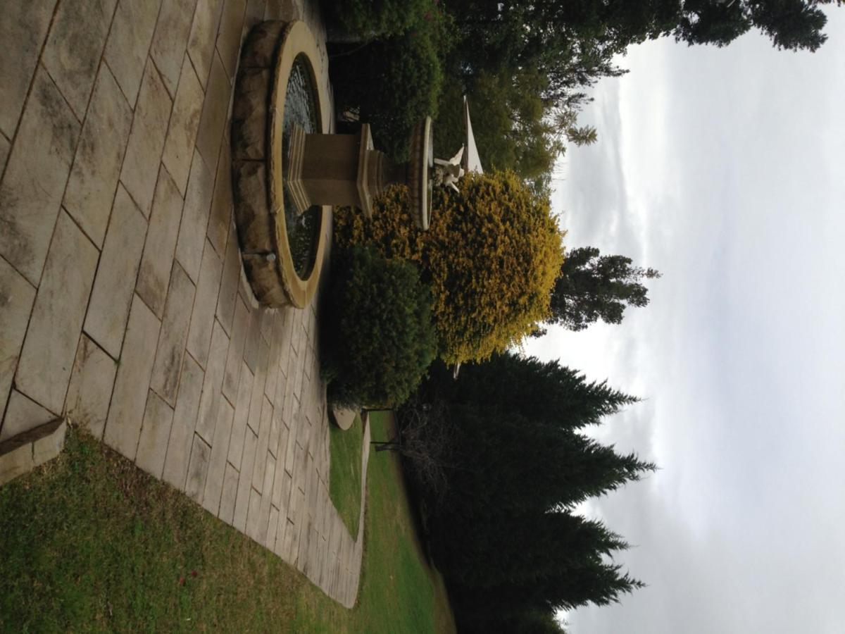 Villa Loxley On Bellbird Hill à Kurrajong Extérieur photo
