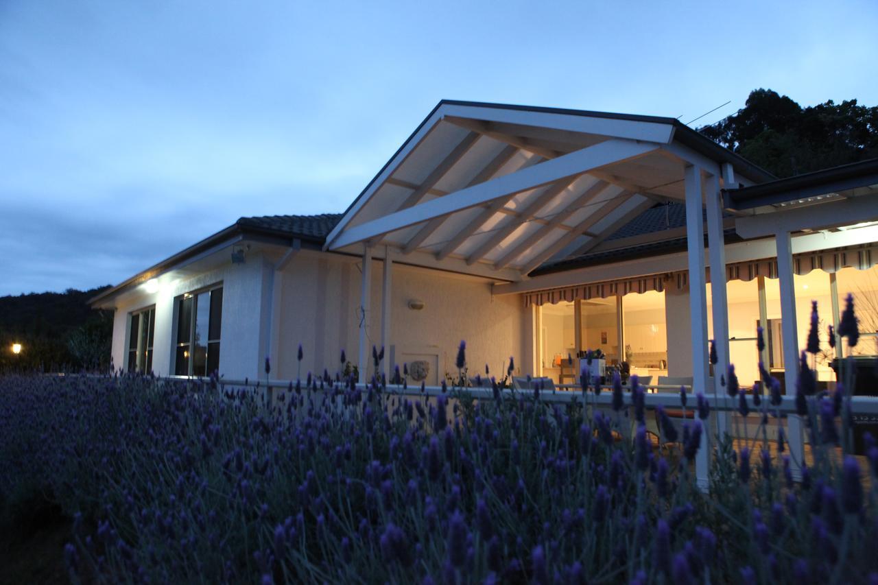 Villa Loxley On Bellbird Hill à Kurrajong Extérieur photo